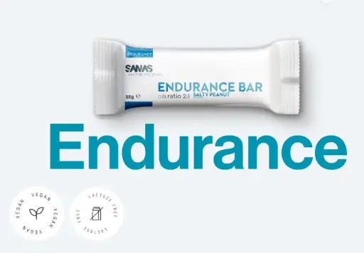 ENDURANCE BAR SALTY PEANUT 